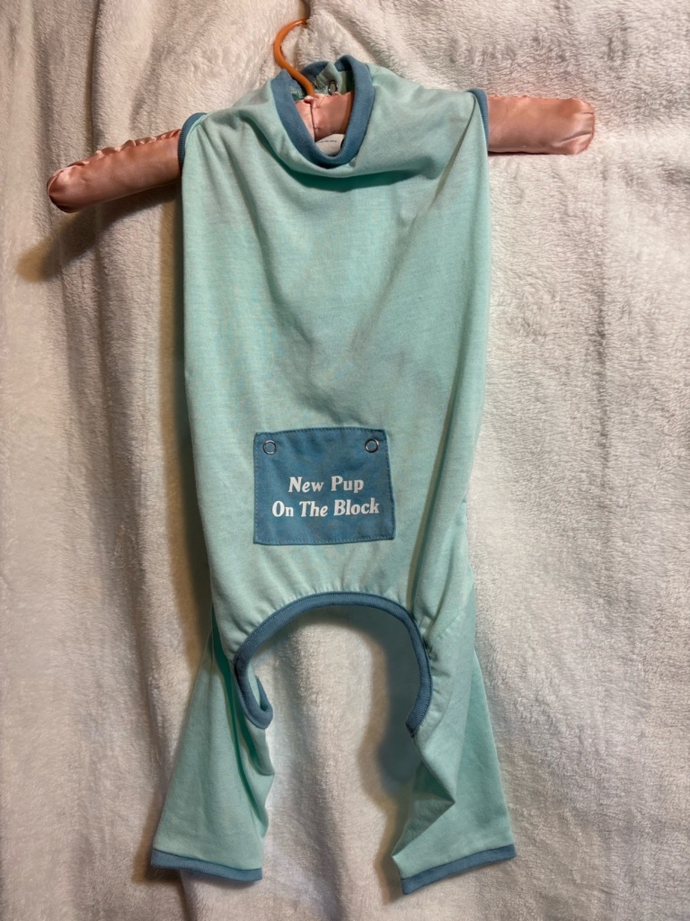 Dog Light Aqua One-Piece Romper - 'New Pup On The Block'